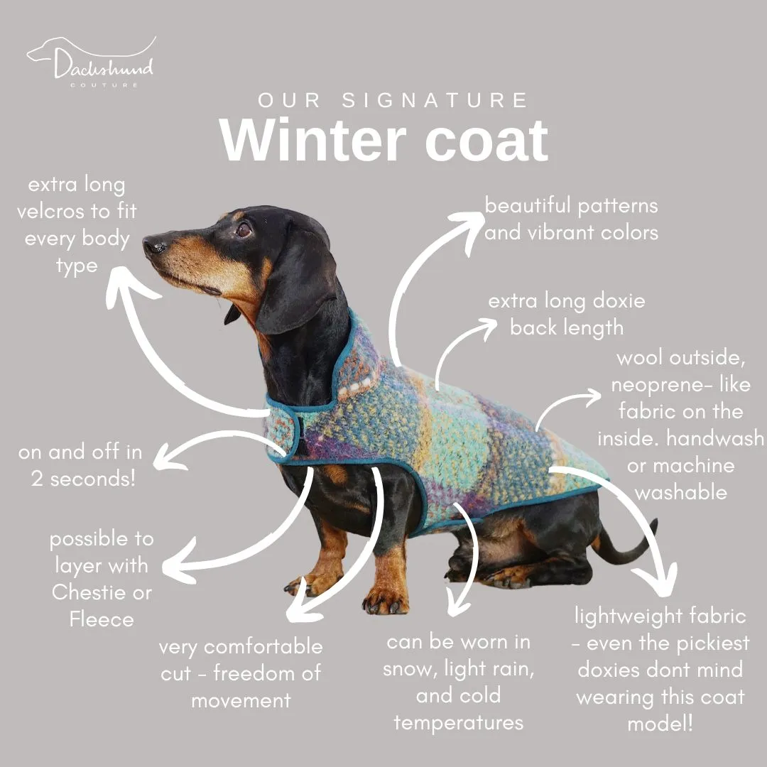 Dachshund coat Chagall tartan