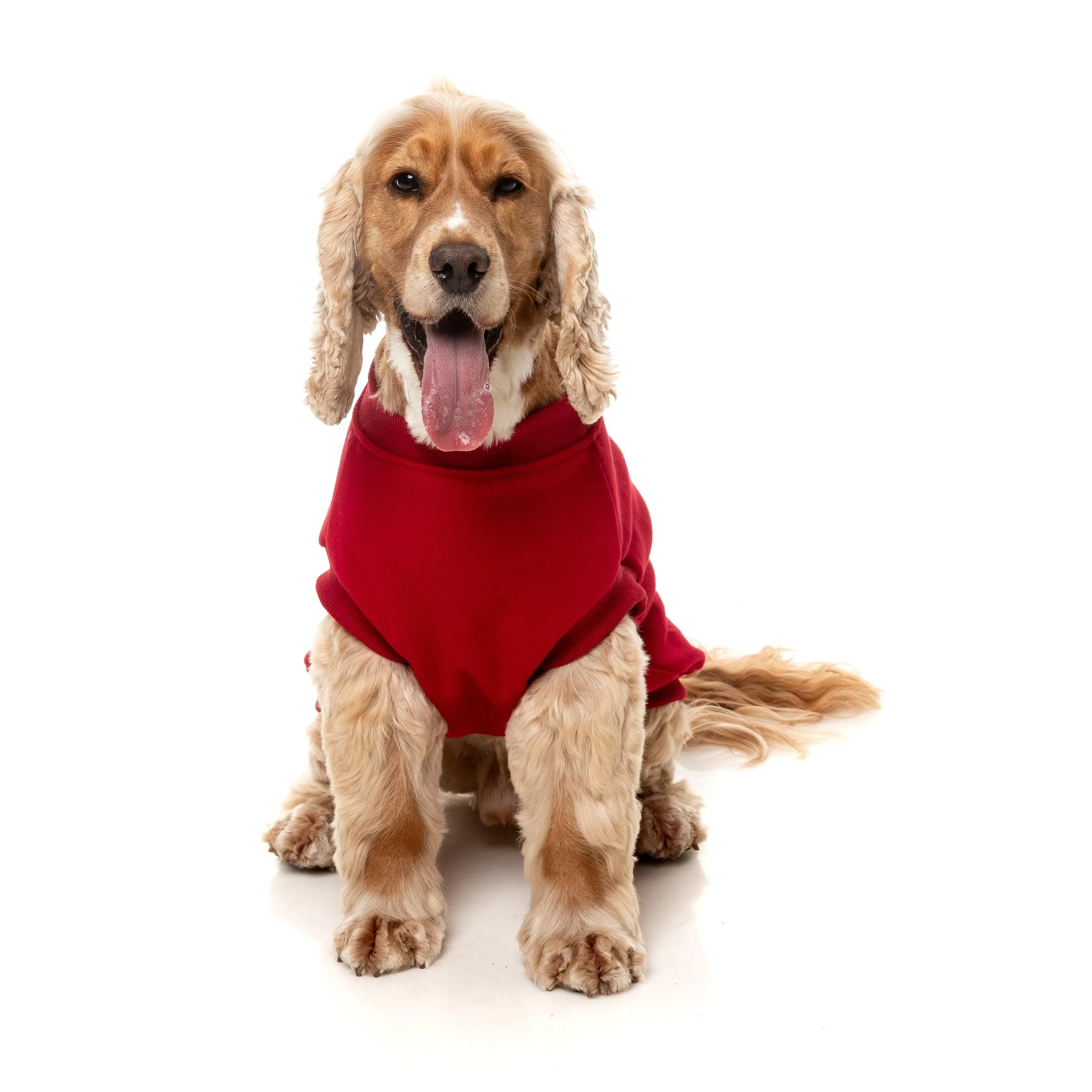FuzzYard Dog Apparel Allday 25 Sweater Red Size 7