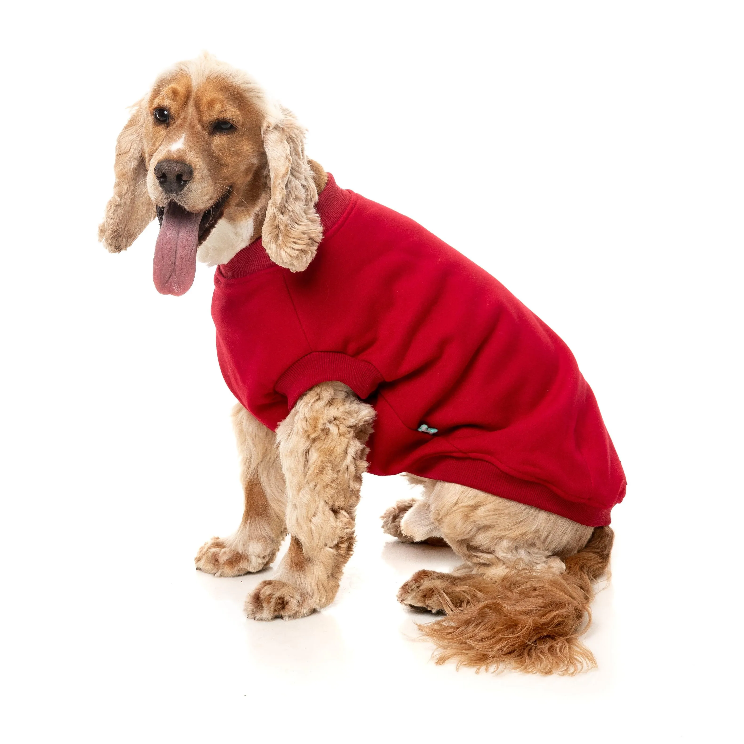FuzzYard Dog Apparel Allday 25 Sweater Red Size 7