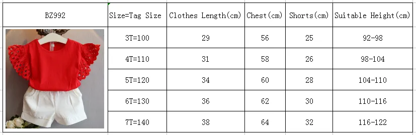 New Summer Hollow Sleeve Tops & Shorts