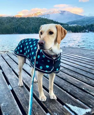Shedrow K9 Glacier Dog Coat - Black with Teal Polka Dots (Small) SALE (EXTRA 50% OFF AT CHECKOUT)